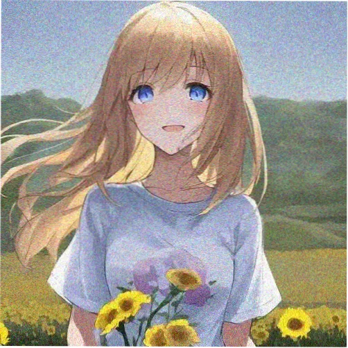 读者 半只袜子 的头像